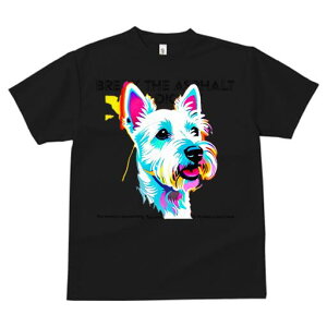 EGXgnChzCgeA TVc  j[NfUCY LbY t@  t vg lJWA 킢 lԗp Mtg I ҏ΍ EGXgnCh