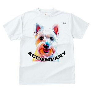 EGXgnChzCgeA TVc  j[NfUCfB[X t@  t vg lJWA 킢 lԗp Mtg I ҏ΍ EGXgnChz