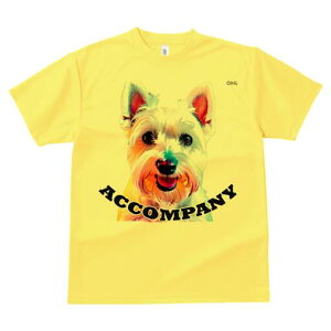 �E�G�X�g�n�C�����h�z���C�g�e���A T�V���c ���� ���j�[�N�f�U�C�����f�B�[�X ���t�@�� ���� �t�� �v�����g ��l�J�W���A�� ���킢�� �l�ԗp �M�t�g ���I �ҏ��΍� �E�G�X�g�n�C�����h�z