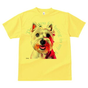 EGXgnChzCgeA TVc  j[NfUCfB[X t@  t vg lJWA 킢 lԗp Mtg I ҏ΍ EGXgnChz