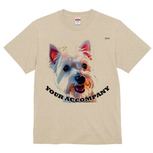 EGXgnChzCgeA TVc  j[NfUCfB[X t@  t vg lJWA 킢 lԗp Mtg I ҏ΍ EGXgnChz