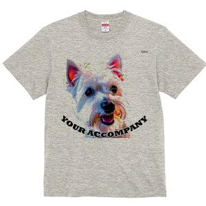 EGXgnChzCgeA TVc  j[NfUCfB[X t@  t vg lJWA 킢 lԗp Mtg I ҏ΍ EGXgnChz