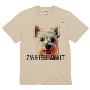 EGXgnChzCgeA TVc  j[NfUCfB[X t@  t vg lJWA 킢 lԗp Mtg I ҏ΍ EGXgnChz