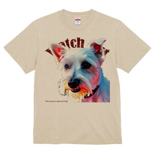 EGXgnChzCgeA TVc  j[NfUCfB[X t@  t vg lJWA 킢 lԗp Mtg I ҏ΍ TVc EGXgnC