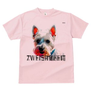 EGXgnChzCgeA TVc  j[NfUCfB[X t@  t vg lJWA 킢 lԗp Mtg I ҏ΍ EGXgnChz