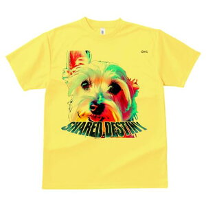 EGXgnChzCgeA TVc  j[NfUCY LbY t@  t vg lJWA 킢 lԗp Mtg I ҏ΍ EGXgnCh