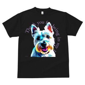 �E�G�X�g�n�C�����h�z���C�g�e���A T�V���c ���� ���j�[�N�f�U�C�����f�B�[�X ���t�@�� ���� �t�� �v�����g ��l�J�W���A�� ���킢�� �l�ԗp �M�t�g ���I �ҏ��΍� �E�G�X�g�n�C�����h�z