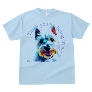 EGXgnChzCgeA TVc  j[NfUCfB[X t@  t vg lJWA 킢 lԗp Mtg I ҏ΍ EGXgnChz