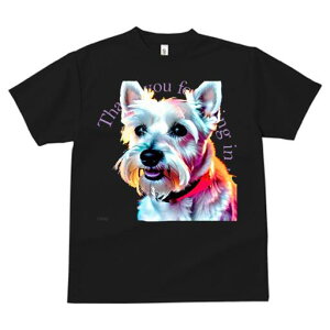 EGXgnChzCgeA TVc  j[NfUCfB[X t@  t vg lJWA 킢 lԗp Mtg I ҏ΍ TVc EGXgnC