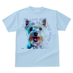 EGXgnChzCgeA TVc  j[NfUCfB[X t@  t vg lJWA 킢 lԗp Mtg I ҏ΍ EGXgnChz