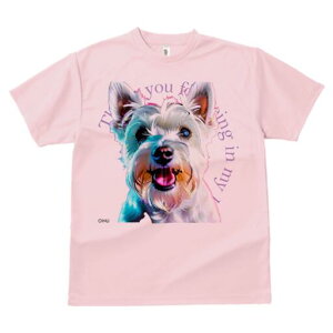 EGXgnChzCgeA TVc  j[NfUCfB[X t@  t vg lJWA 킢 lԗp Mtg I ҏ΍ EGXgnChz