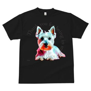 EGXgnChzCgeA TVc  j[NfUCfB[X t@  t vg lJWA 킢 lԗp Mtg I ҏ΍ EGXgnChz