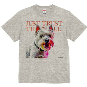 EGXgnChzCgeA TVc  j[NfUCfB[X t@  t vg lJWA 킢 lԗp Mtg I ҏ΍ EGXgnChz