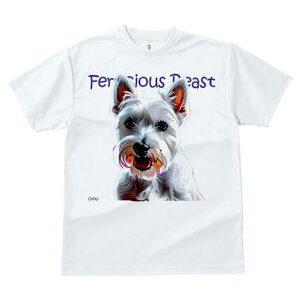 EGXgnChzCgeA TVc  j[NfUCfB[X t@  t vg lJWA 킢 lԗp Mtg I ҏ΍ EGXgnChz