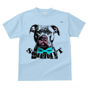 sbgu TVc  j[NfUCfB[X t@  t vg lJWA 킢 lԗp Mtg I ҏ΍ lN^C sbgu