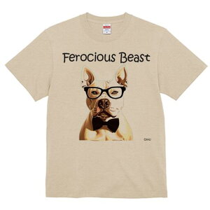 AJsbgueA TVc  j[NfUCfB[X t@  t vg lJWA 킢 lԗp Mtg I ҏ΍ Kl AJsbgu