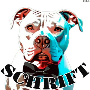 lN^C AJsbgueA NbVJo[ 45×45cm Aj}   NbV{̕t `