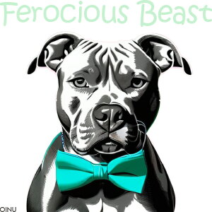 lN^C AJsbgueA NbVJo[ 45×45cm Aj}   NbV{̕t `