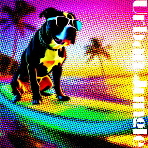 TOX AJsbgueA V̖ r[` NbVJo[ 45×45cm Aj}   NbV{̕t `