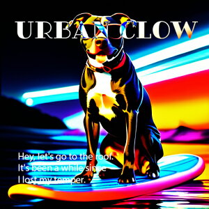 TOX sbgu T[t{[h lI NbVJo[ 45×45cm Aj}   NbV{̕t `