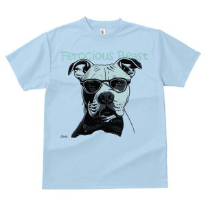 AJsbgueA TVc  j[NfUCfB[X t@  t vg lJWA 킢 lԗp Mtg I ҏ΍ Kl AJsbgu