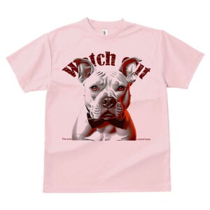 AJsbgueA TVc  j[NfUCfB[X t@  t vg lJWA 킢 lԗp Mtg I ҏ΍ lN^C AJsbg