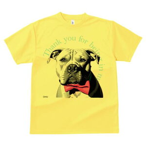 AJsbgueA TVc  j[NfUCfB[X t@  t vg lJWA 킢 lԗp Mtg I ҏ΍ lN^C AJsbg