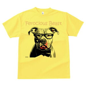 AJsbgueA TVc  j[NfUCfB[X t@  t vg lJWA 킢 lԗp Mtg I ҏ΍ Kl AJsbgu