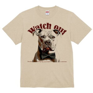 AJsbgueA TVc  j[NfUCfB[X t@  t vg lJWA 킢 lԗp Mtg I ҏ΍ lN^C AJsbg