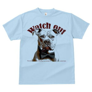 AJsbgueA TVc  j[NfUCfB[X t@  t vg lJWA 킢 lԗp Mtg I ҏ΍ lN^C AJsbg