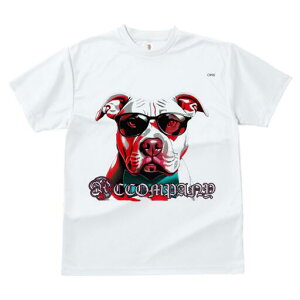 AJsbgueA TVc  j[NfUCfB[X t@  t vg lJWA 킢 lԗp Mtg I ҏ΍ TOX AJsbg