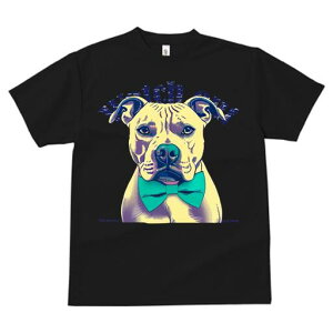 AJsbgueA TVc  j[NfUCfB[X t@  t vg lJWA 킢 lԗp Mtg I ҏ΍ lN^C AJsbg