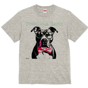 AJsbgueA TVc  j[NfUCfB[X t@  t vg lJWA 킢 lԗp Mtg I ҏ΍ Kl AJsbgu