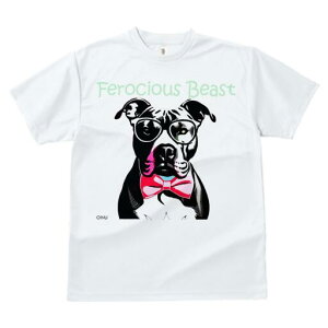 AJsbgueA TVc  j[NfUCfB[X t@  t vg lJWA 킢 lԗp Mtg I ҏ΍ Kl AJsbgu