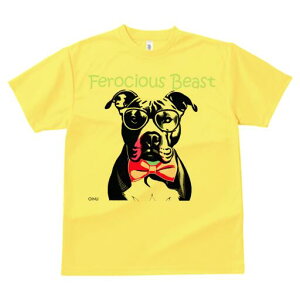 AJsbgueA TVc  j[NfUCfB[X t@  t vg lJWA 킢 lԗp Mtg I ҏ΍ Kl AJsbgu