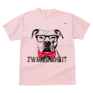 AJsbgueA TVc  j[NfUCfB[X t@  t vg lJWA 킢 lԗp Mtg I ҏ΍ Kl AJsbgu