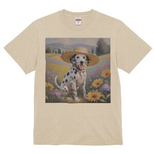 _VA TVc  j[NfUCfB[X t@  t vg lJWA 킢 lԗp Mtg I ҏ΍ Xq _VA  i