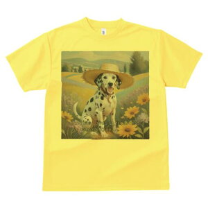 _VA TVc  j[NfUCfB[X t@  t vg lJWA 킢 lԗp Mtg I ҏ΍ Xq _VA  i