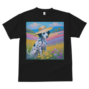 _VA TVc  j[NfUCfB[X t@  t vg lJWA 킢 lԗp Mtg I ҏ΍ Xq _VA Ԕ  i