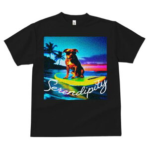 sbgu TVc  j[NfUCfB[X t@  t vg lJWA 킢 lԗp Mtg I ҏ΍ T[tB sbgu C  ][g