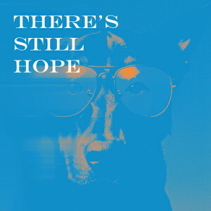 Kl W[}VFp[hhbO NbVJo[ 45×45cm Aj}   NbV{̕t `