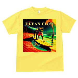 sbgu TVc  j[NfUCfB[X t@  t vg lJWA 킢 lԗp Mtg I ҏ΍ T[tB sbgu r[` V̖ C