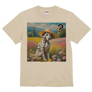 _VA TVc  j[NfUCfB[X t@  t vg lJWA 킢 lԗp Mtg I ҏ΍ Xq _VA   