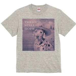 _VA TVc  j[NfUCfB[X t@  t vg lJWA 킢 lԗp Mtg I ҏ΍ Xq _VA 