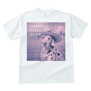 _VA TVc  j[NfUCfB[X t@  t vg lJWA 킢 lԗp Mtg I ҏ΍ Xq _VA 