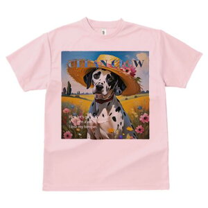 _VA TVc  j[NfUCfB[X t@  t vg lJWA 킢 lԗp Mtg I ҏ΍ Xq _VA  i