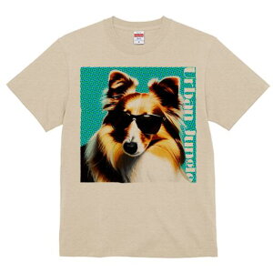 VFbghV[vhbO TVc  j[NfUCfB[X t@  t vg lJWA 킢 lԗp Mtg I ҏ΍ TOX VFbghV