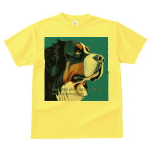 o[j[Y}EehbO TVc  j[NfUCfB[X t@  t vg lJWA 킢 lԗp Mtg I ҏ΍ o[j[Y}EehbO