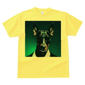 h[x} TVc  j[NfUCfB[X t@  t vg lJWA 킢 lԗp Mtg I ҏ΍ X[c h[x} Kl