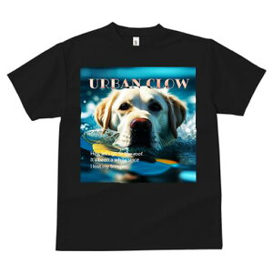 S[fgo[ TVc  j[NfUCfB[X t@  t vg lJWA 킢 lԗp Mtg I ҏ΍  S[fgo[ 